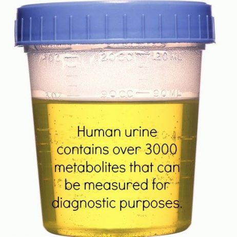 Human Urine