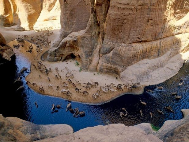 Guelta d’Archei12