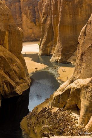 The Scenic Beauty of “Guelta d’Archei” is a Hidden Treasure of Sahara