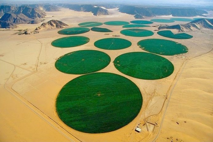 Organic Farming in the Desert of Wadi Rum