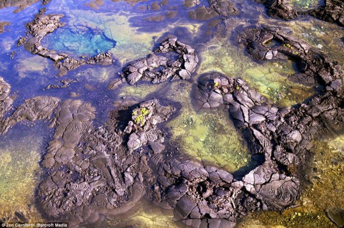 Seattle-based photographer Jon Cornforth was able to capture such imagery as the tortoise-like view of Kiholo Bay located on the Kohala Coast on Big island, Hawaii, thanks to his flying camera