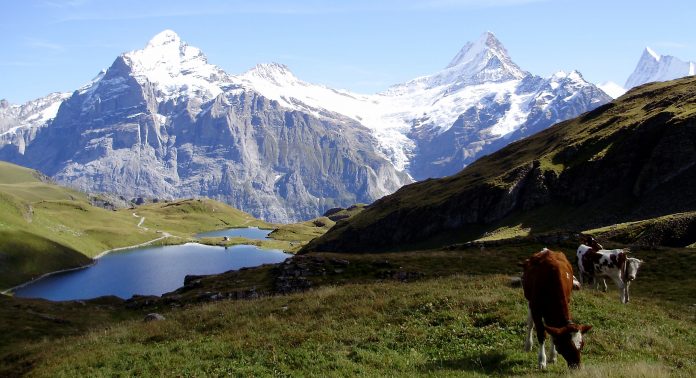 the blue gem lake bachalpsee of grindelwald switzerland