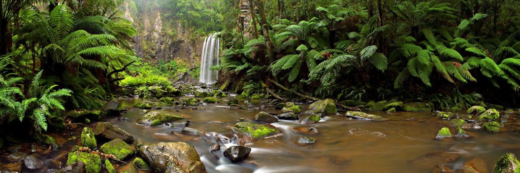 The gorgeous natural Hopetoun Falls is located in the Otways region of Victoria, Australia.