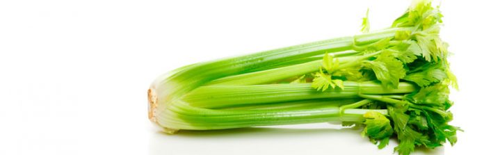 Celery is a heavy, even gluttonous feeder, it needs very rich soil.