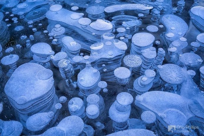 The result is extra organic material, such as trees, grasses and plants that would normally not be found on a lake bed, decomposing and creating even more methane gas.