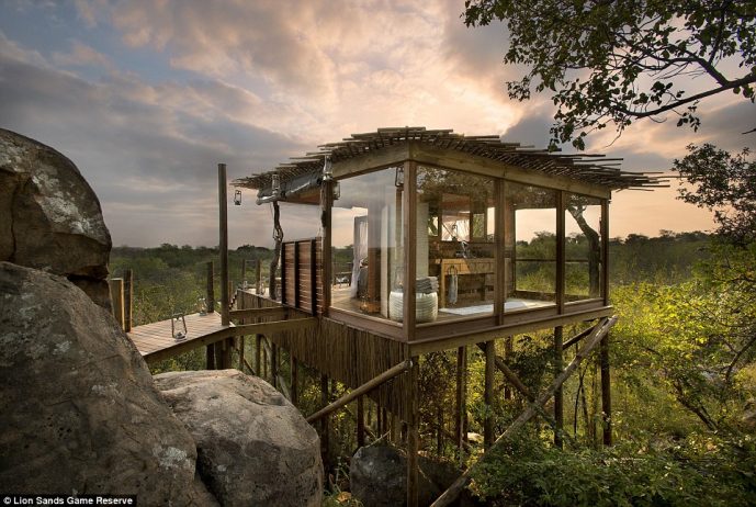 The Kingston Tree house at Lion Sands Game Reserve in South Africa features a bathroom with a view of the surrounding wildlife