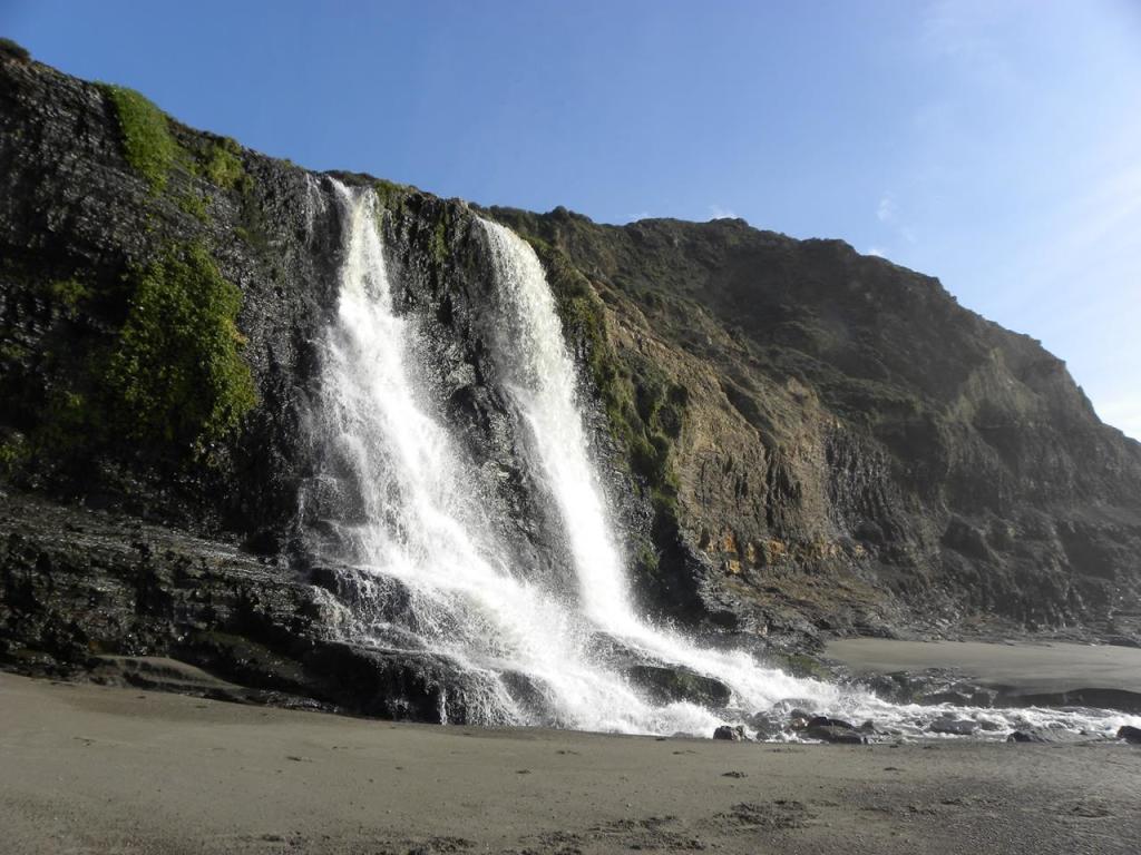 Alamere Falls itself, dropping 40 feet down onto the beach.