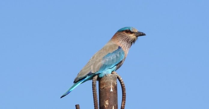 DSC01791