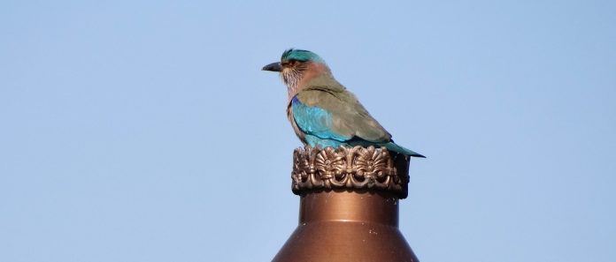DSC01792