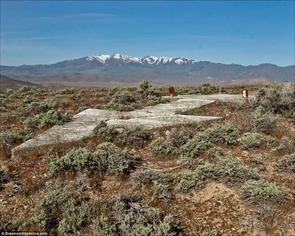 Perfectly set against the snow-capped mountains of Nevada, this arrow was photographed in Golconda, Humboldt County