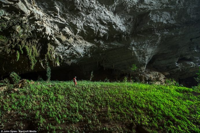 Suphaporn Singnakphum stands amongst lush low-light plants in an underground garden in a huge fossil passage that adjoins the inflow entrance of Tham Khuon Xe