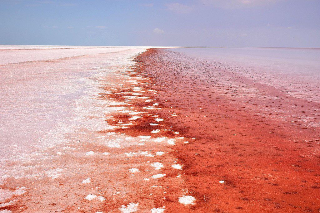 The “Tuz Golu” lake recedes and reddens every year, leaving behind cracked salt flats that supply half of Turkey's salt, and entice snap-happy tourists. 