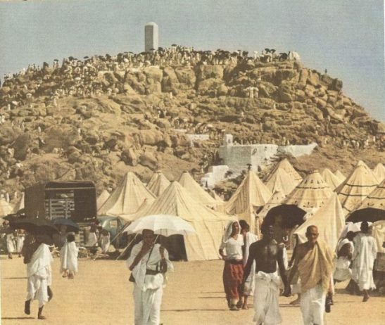 Tents in Arafah during Hajj in the 1950s