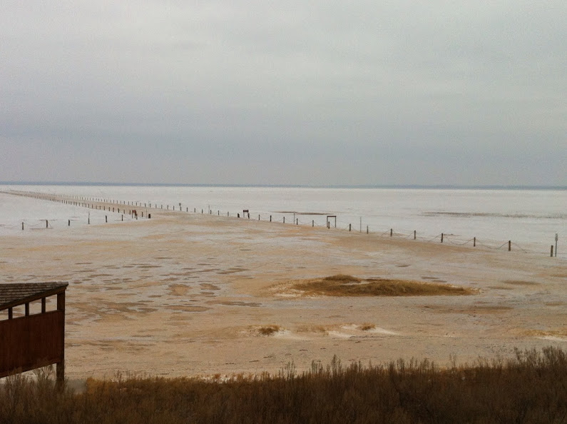 salt-plains