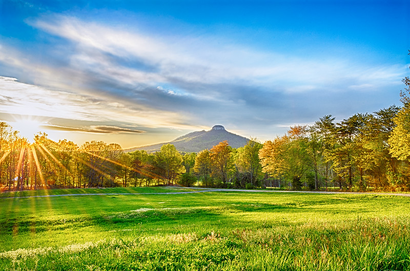 The exclusive features of Pilot Mountain is Big and Little Pinnacle, have high and colorful bare rock walls, with a lovely rounded top well covered by vegetation.