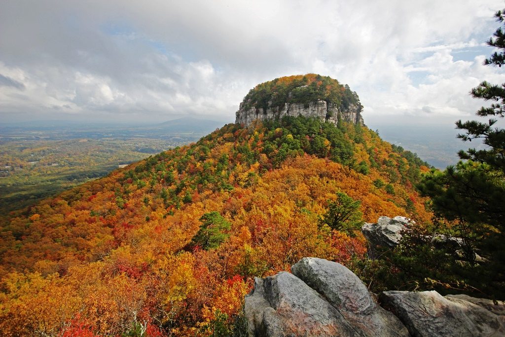 The Pilot Mountain is truly an iconic summit actually a part of the A.V.A Yadkin Valley, an American viticultural Area, U.S. Route 52 passes through the Town of Pilot Mountain near the mountain