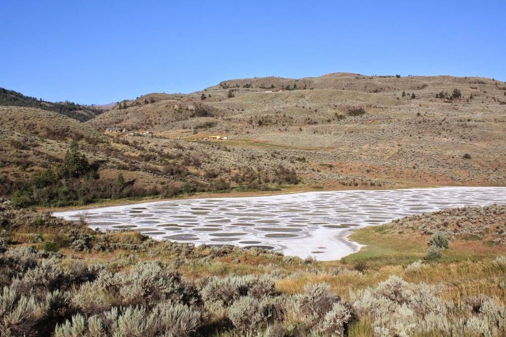 Spotted Lake is a strange and significantly important site having great potential of commercial exploitation presently hype much controversy. Image Credit Flickr User Houston Marsh