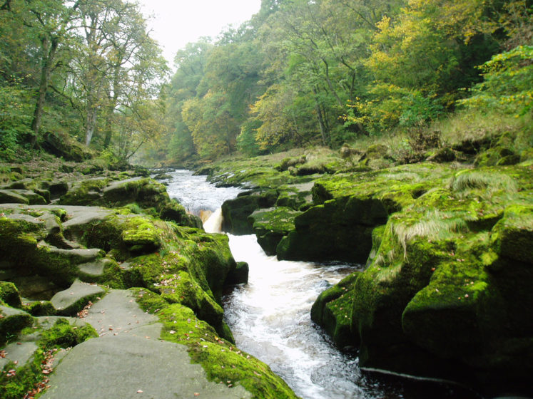 it’s a small innocuous-looking mountain stream, around 6 feet across, famous as “Bolton Strid”, or simply the “Strid”.