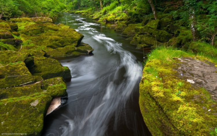 , it is strongly believed that not a solitary person who has fallen into the “Strid” has ever come out of it alive. Not even their bodies as well.