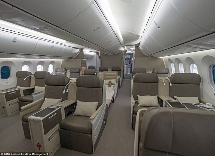 the-dream-jet-also-has-air-technology-built-in-to-reduce-travel-sickness-and-to-filter-germs-from-the-cabin-air-no-more-catching-a-cold-from-your-snivelling-seat-neighbour