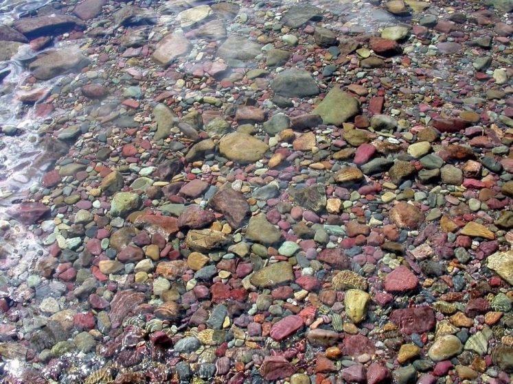 The Colored Pebbles of Lake McDonald are seen in plenty on the shores of Lake McDonald on the western side of the park.