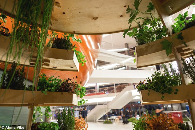 The “Growroom” was formed by Space10 a “future living lab” supported by Ikea.