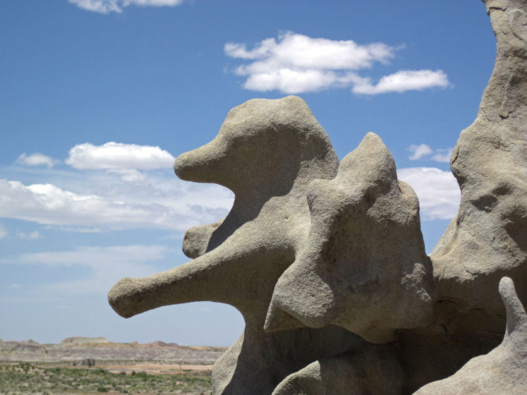 During the Eocene Epoch, about 40 to 50 million years ago, the Unita Basin was well covered by a big lake called Lake Uinta.