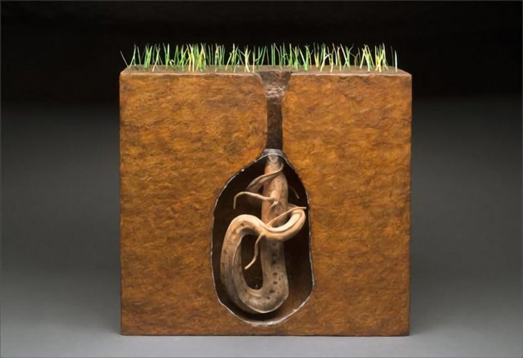 A computer-generated model of a lungfish in its burrow.