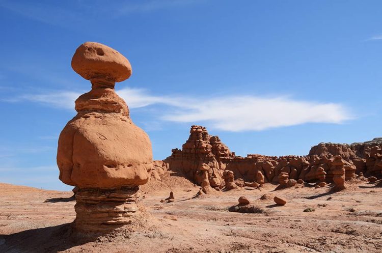 Mostly Jack rabbits, kangaroo, scorpions, rats, kit foxes, pronghorns, midget faded rattlers, lizards, and coyotes are found within and near the park.