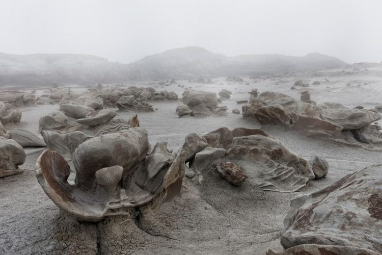Several of the gray hoodoos in the wilderness are made up of this formation. The exclusive egg-shaped formation, in the “egg factory” area, is also the result of erosion.