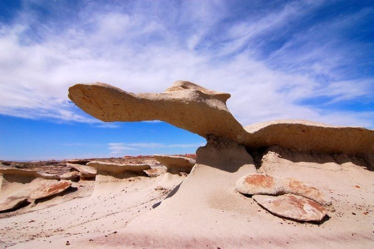 Moreover, erosion then formed the characteristic features of the contemporary landscape of the Bisti Wilderness.