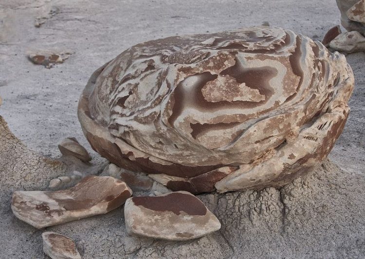 Mostly three kinds of formations are bare in Bisti Wilderness area — the Ojo Alamo Formation, which has left naked the thick deposit of volcanic ash from an ancient eruption, and Fruitland formation and the Kirtland Shale. 