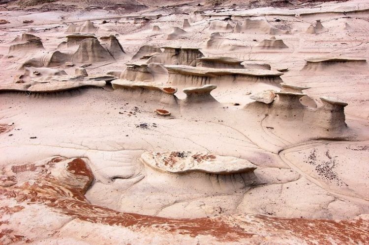 The Ojo Alamo Formation extents the Mesozoic/Cenozoic boundary, and typically contains dinosaur remnants.