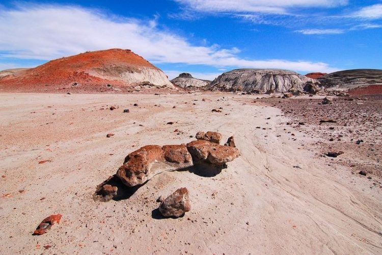 Thus, the Fruitland Formation comprises layers of sandstone, coal and shale was laid down when the surroundings were marshy, humid and warm, with meagre drainage.