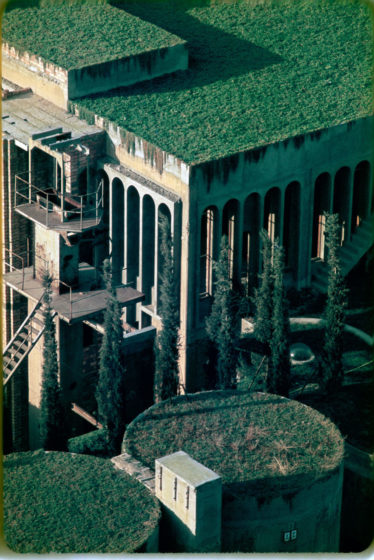The exterior is mostly covered by grass, but also eucalyptus, palm, and olive trees