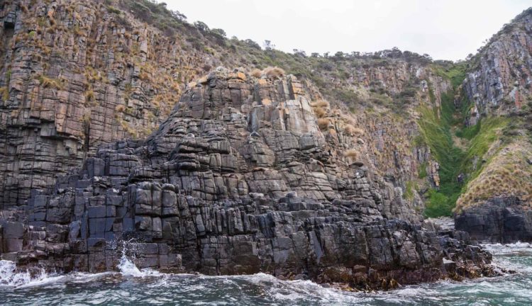 The columns are actually a part of a continuous formation over 4,000 km long extending from Australia through Tasmania and into Antarctica.