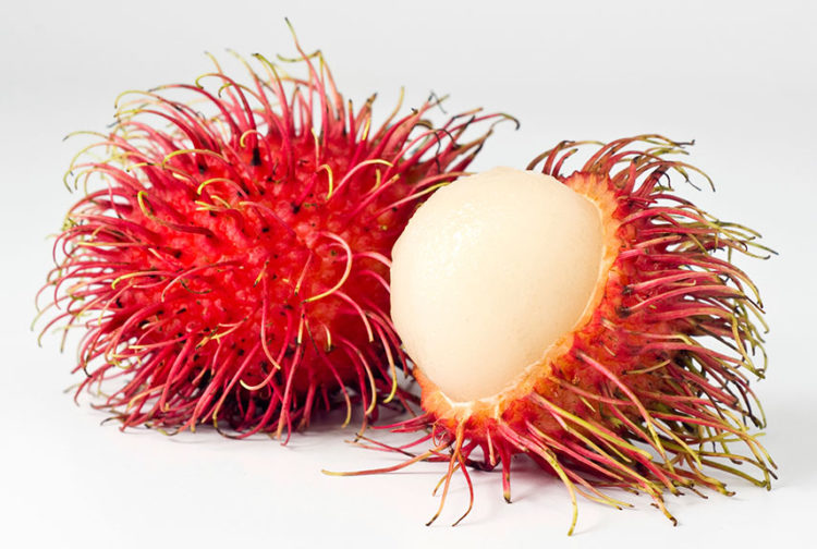 Rambutan taste is very sweet and mildly acidic like grapes. This delicious fruit is full of vitamin C and iron
