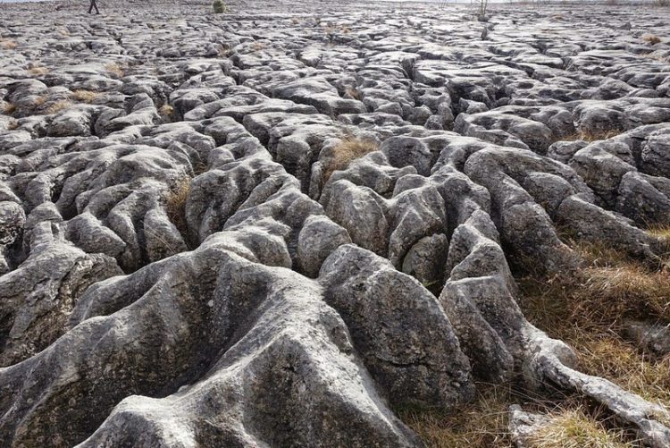 In the ancient times, this region was under the sea, hence walking across the limestone pavement you can still find fossils of the ancient corals, shelly creatures and sea lilies from which the rock is made.