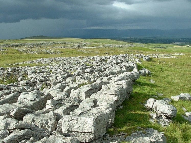 Further, water running through the soil found softness in the rocks that were then eroded away becoming deep fissures.