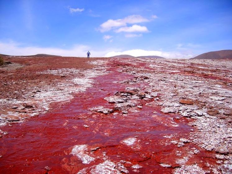 The South American country of Chile holds many attractions for travellers, from the UNESCO World Heritage Site Valparaiso to the islands of Chiloe.