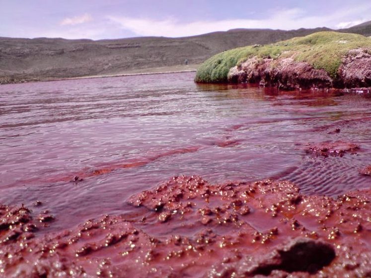 However, it's most striking and least known is the Red Lagoon in the northern area of Camina.