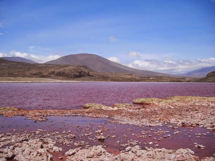 The water of the lagoon is so strong red that it seems like blood or ink. The lake was though familiar to locals, but unfamiliar for others