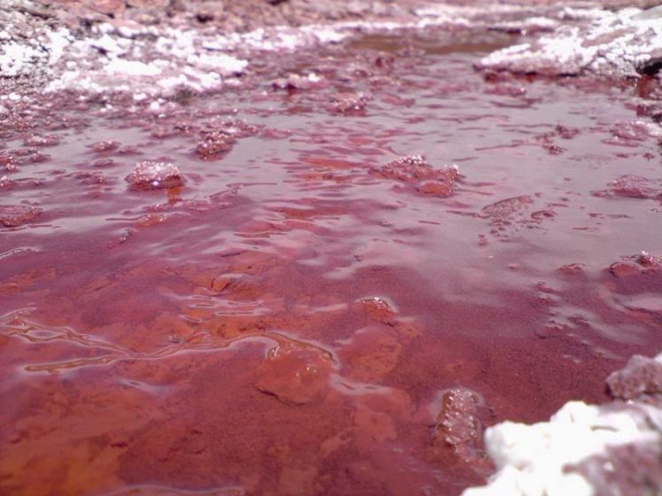 Red-Lagoon even to the National Service of Tourism until 2009, though several miles downstream lies the Caritaya Reservoir.