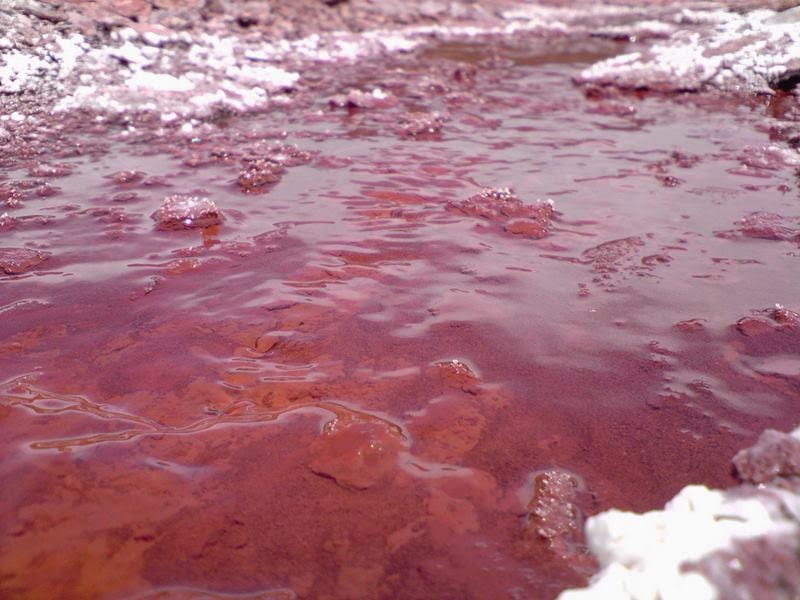 Покажи красную воду. Красная Лагуна в Чили. Чили красное озеро. Озеро дьявола Чили. Кроваво-красное озеро Лагуна-Колорадо.