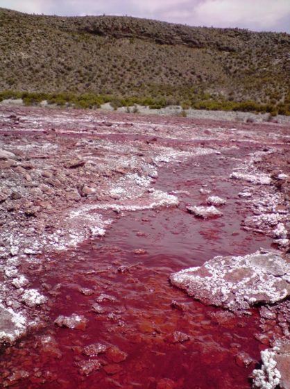 The mysterious curses that have been associated with Egyptian tombs, actually red pool is possesses by a curse that affects those who approach it's red waters.