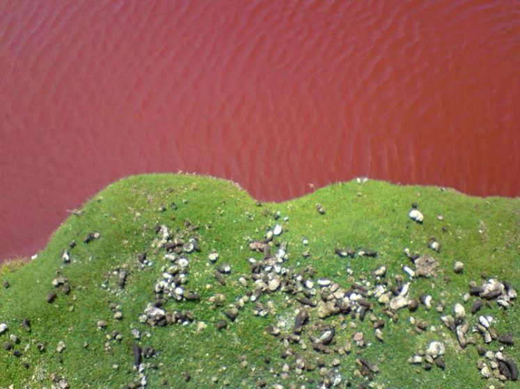 That's the reason nobody knows where it is precisely and it does not appear on maps.