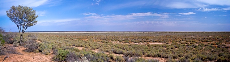 Lake Wyara, Currawinya NP