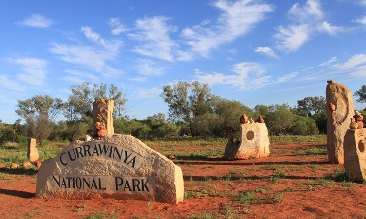 Currawinya’s lakes are important breeding and refuge sites for a spectacular array of water birds, including waders migrating from across Australia and the world.