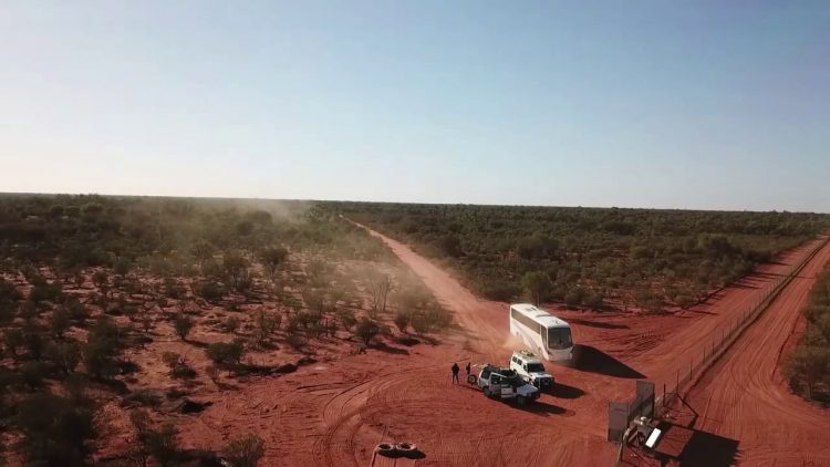 Take the Boorara Road for 10 km north of Ten Mile Bore where a short walk leads to a small granite outcrop. Views from atop the outcrop extend over the park.