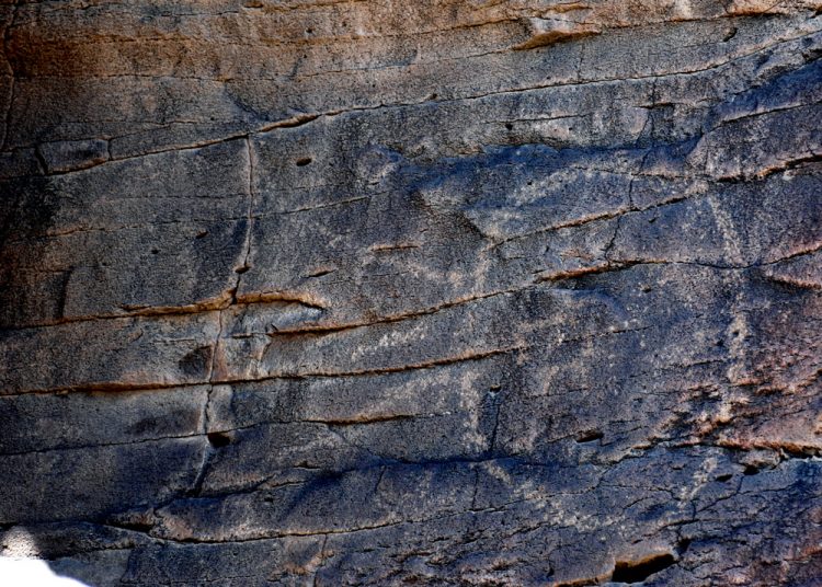 The carved petroglyphs volcanic basalt, include lizards, frogs, deer, snakes, and amorphous pictures.